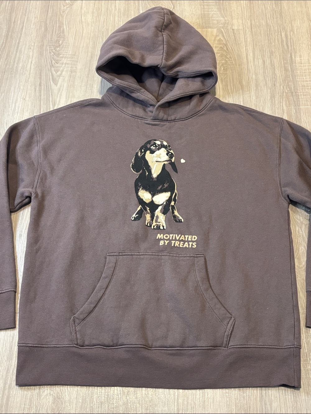 Wild Fable “Motivated by Treats” Dachshund Hoodie - Picture 4 of 11